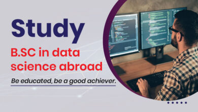 BSc in Data Science Abroad